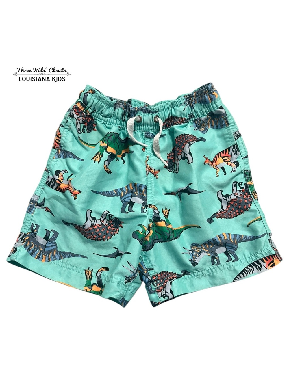 Hanna Andersson Sz 100 (4) Mint Dinosaur Print Swim Shorts